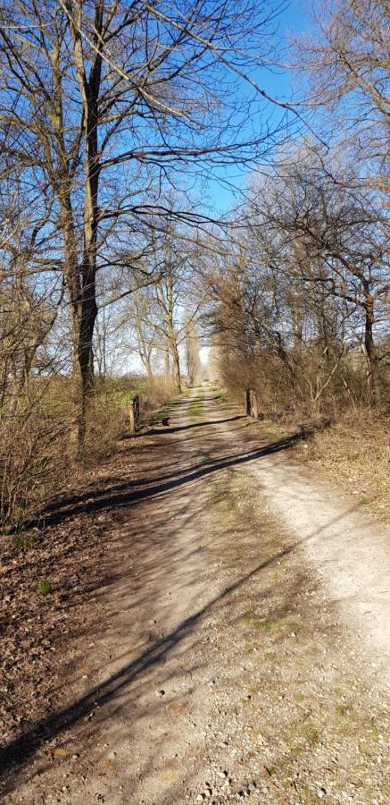 La Corte B&B Candiolo Zewnętrze zdjęcie